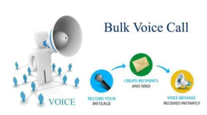 Read more about the article How do I send a bulk Voice Call?